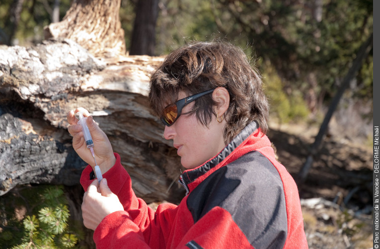 rencontres avec la faune sauvage