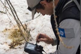 Recherche et identification de crottiers de tétras-lyre