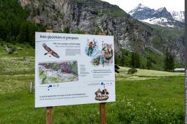 Panneau d'information ZSM