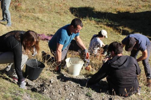 CP PN Vanoise - Chantier-étudiant USMB dégâts de marmottes