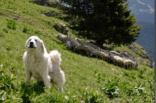 3pnv008461-PN-Vanoise-Jeremie_Jourdan-2000px