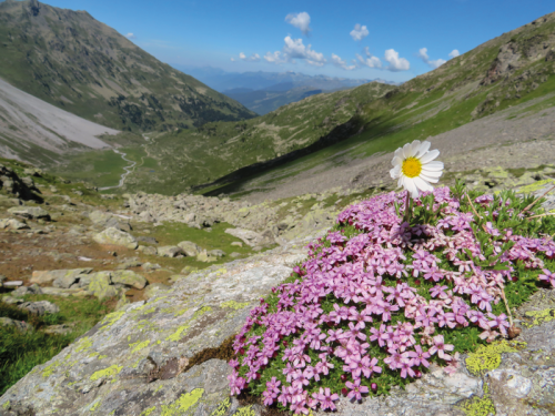 3pnv017587-pn-vanoise-mira_isabelle-03b_cmjn.png