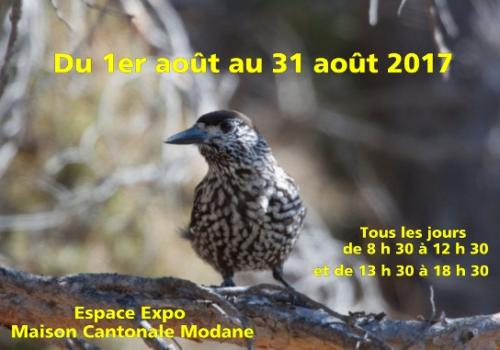 affiche_expo_orgere.jpg