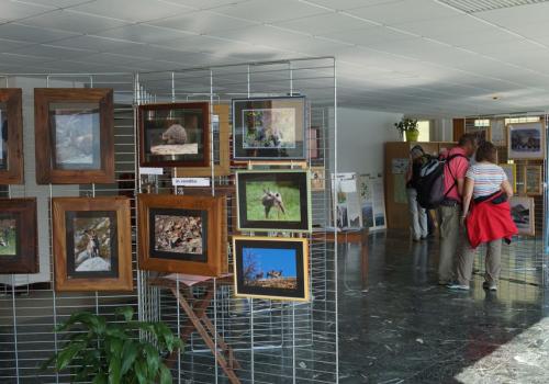 maison-franco-italienne-val-cenis - La Maison franco-italienne du Mont Cenis, lieu d'information et d'exposition