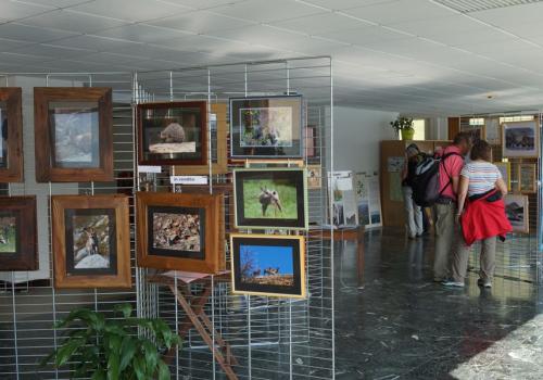 La Maison franco-italienne du Mont Cenis, lieu d'information et d'exposition - La Maison franco-italienne du Mont Cenis, lieu d'information et d'exposition