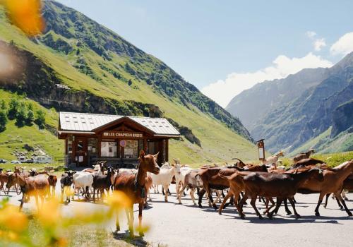 Les Chapieux - Office de tourisme