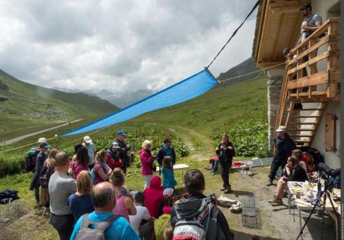 Vis ma vie de marmotte dans la Réserve naturelle de la Grande Sassière_Tignes