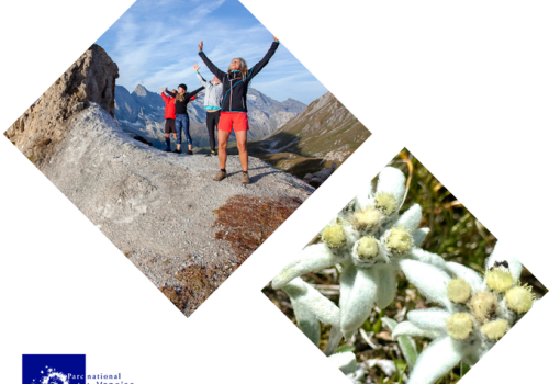 Botanical and zen wellness walk_Val-d'Isère - Photo paysage - Balade botanique et bien-être zen