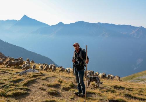 Rencontres pasto_Val-Cenis - PARC NATIONAL VANOISE