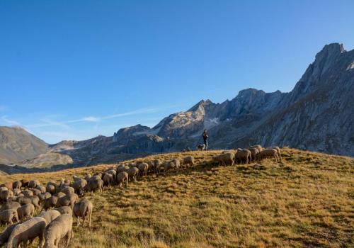 Rencontres pasto_Aussois - PNV