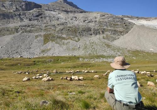 Rencontres pasto_Val-Cenis - PN Vanoise