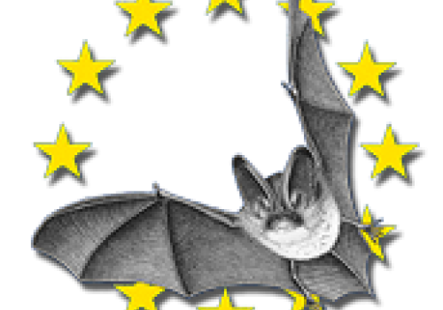 logo-nuitdelachauvesouris.png
