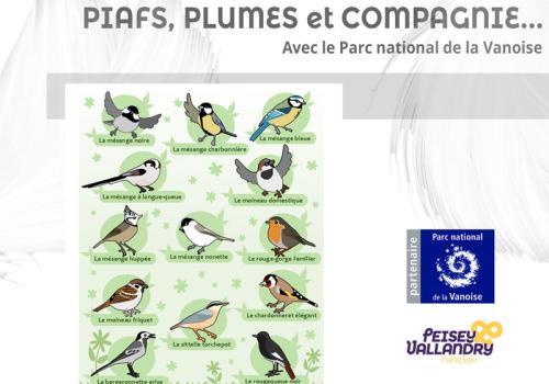 piaf2260187-diaporama.jpg