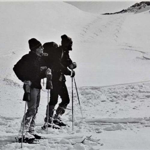 ski