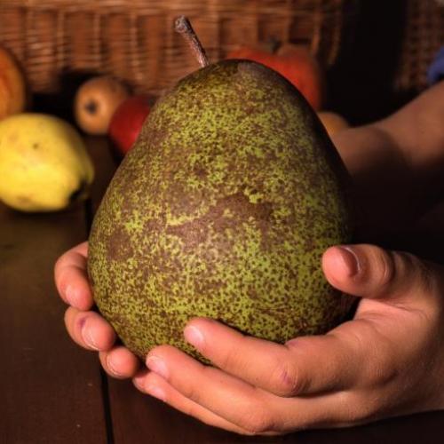 Poire
