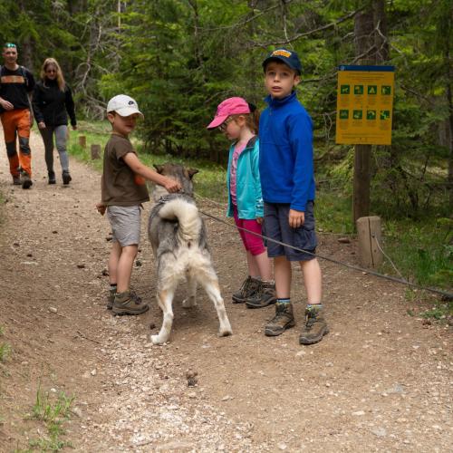 Chien Parc national Vanoise