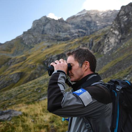 Mission de surveillance par un agent du Parc national de la Vanoise