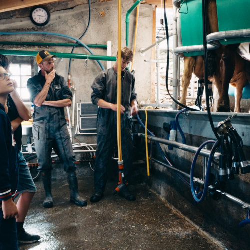 Enfants participant à la traite des vaches avec l'agriculteur