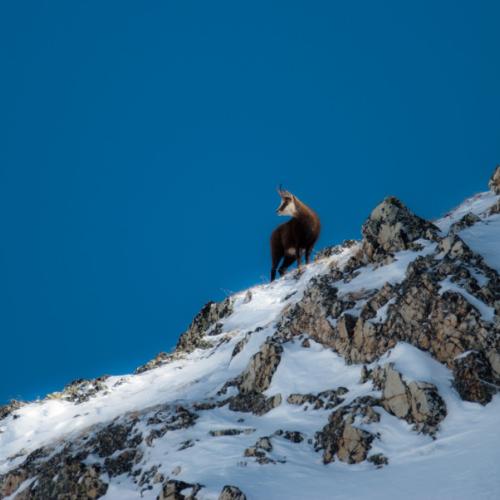 3pnv012200-pn-vanoise-beurier_mathieu-900px.jpg