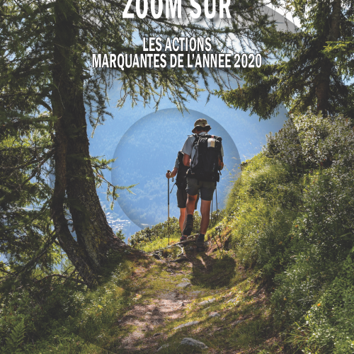 pages_de_zoom_actions_marquantes_2020.png