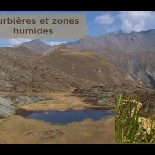 Tourbières et zones humides