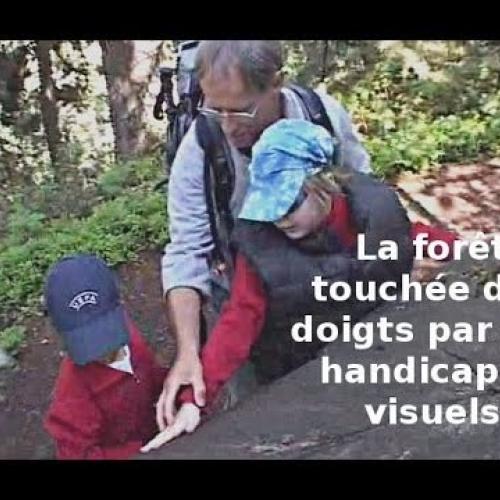 La forêt touchée des doigts par des malvoyants