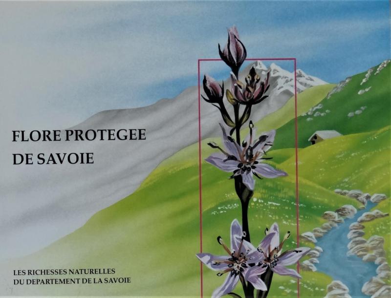 1ère partie - Vanoise 85 livres en 60 ans validée JPM le 26-08-2024 14.jpeg 