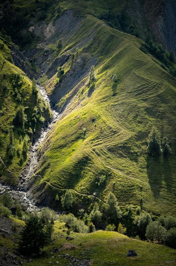 Draille (chemin) tracée par les vaches dans une prairie pentue.