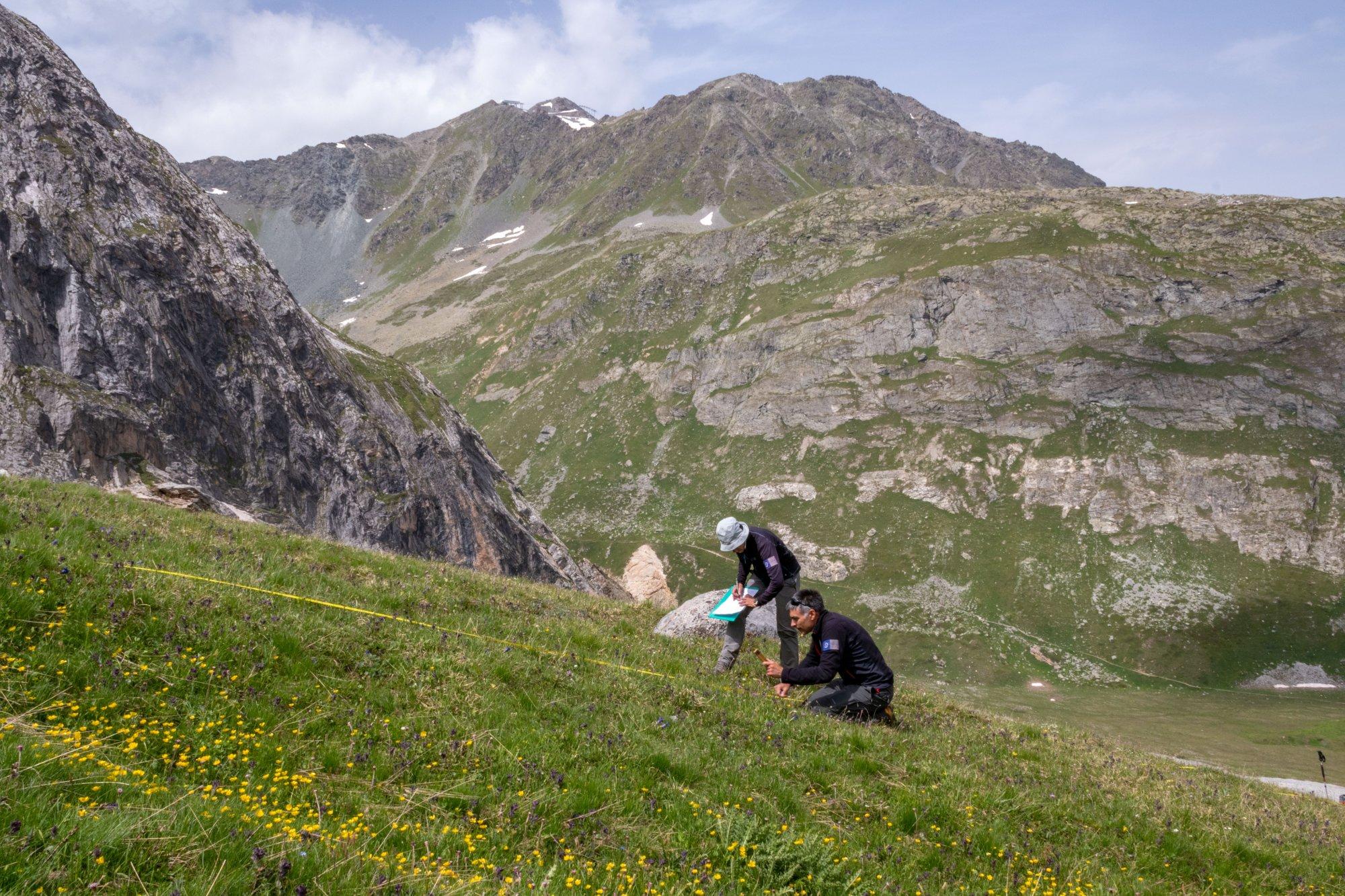 Relevé botanique réalisé par des agents du parc 