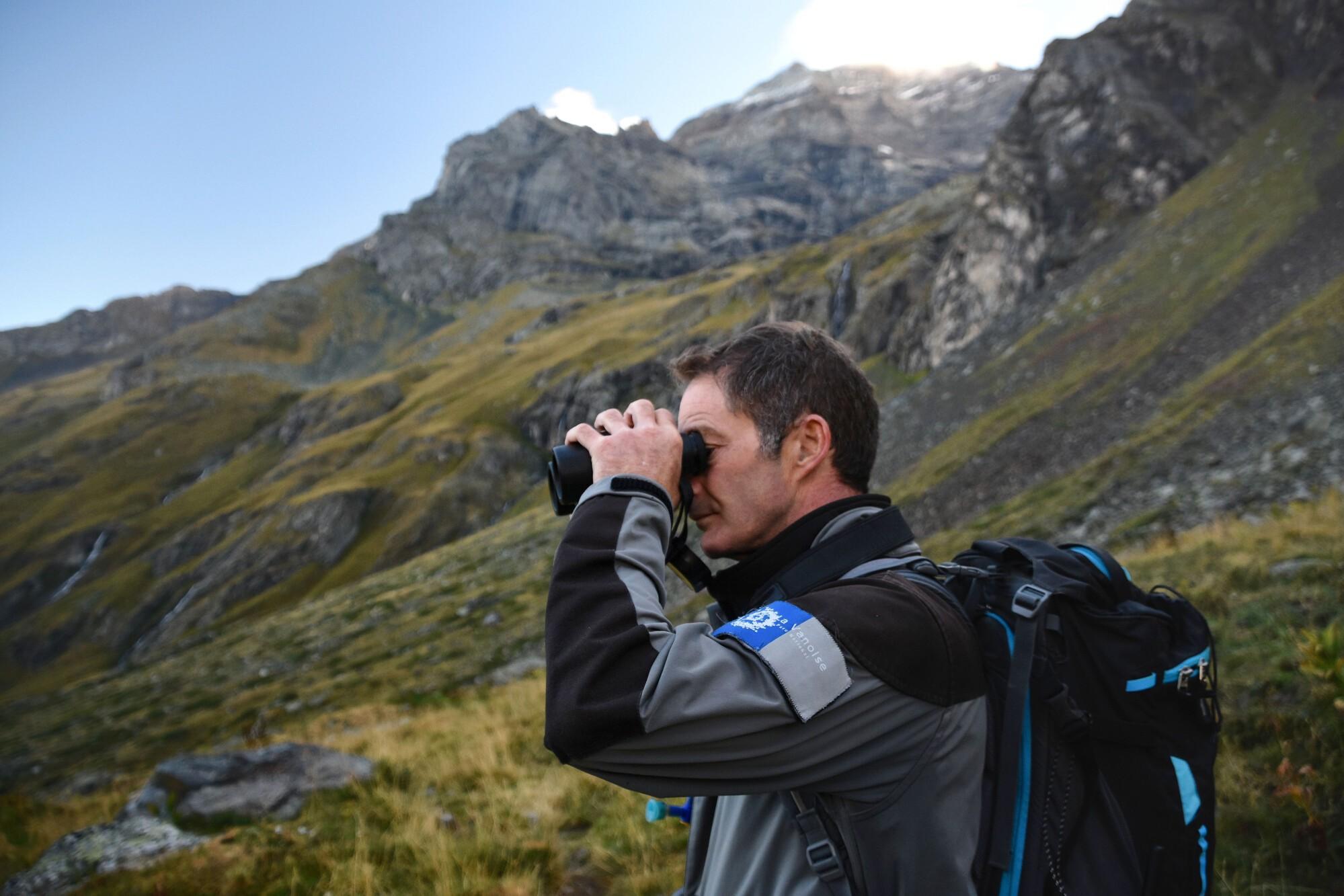 Mission de surveillance par un agent du Parc national de la Vanoise