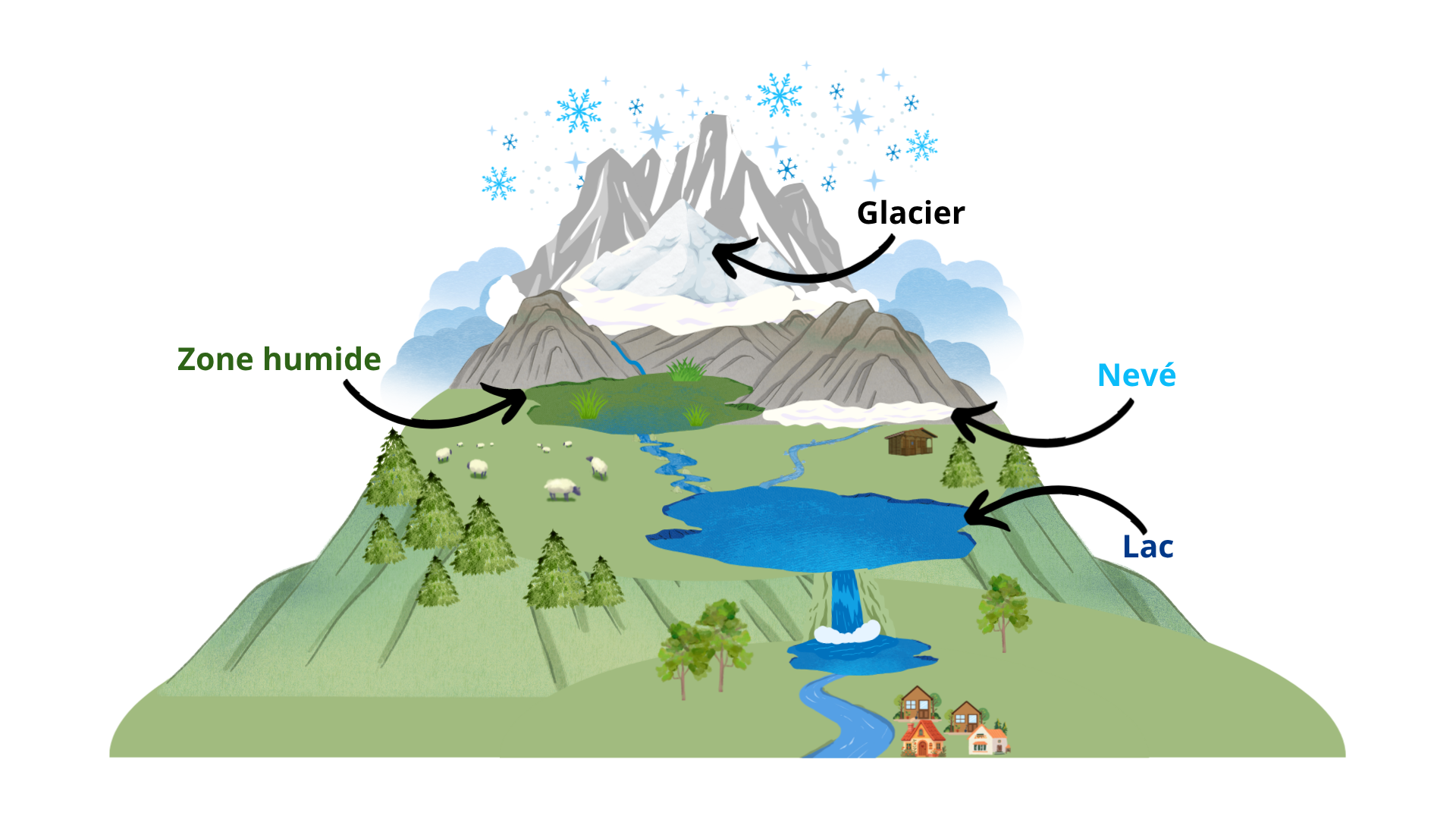 Cycle de l'eau
