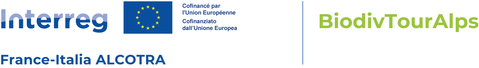 logo BTA