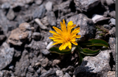 3pnv003914-pn-vanoise-herrmann_mylene-750px2.png