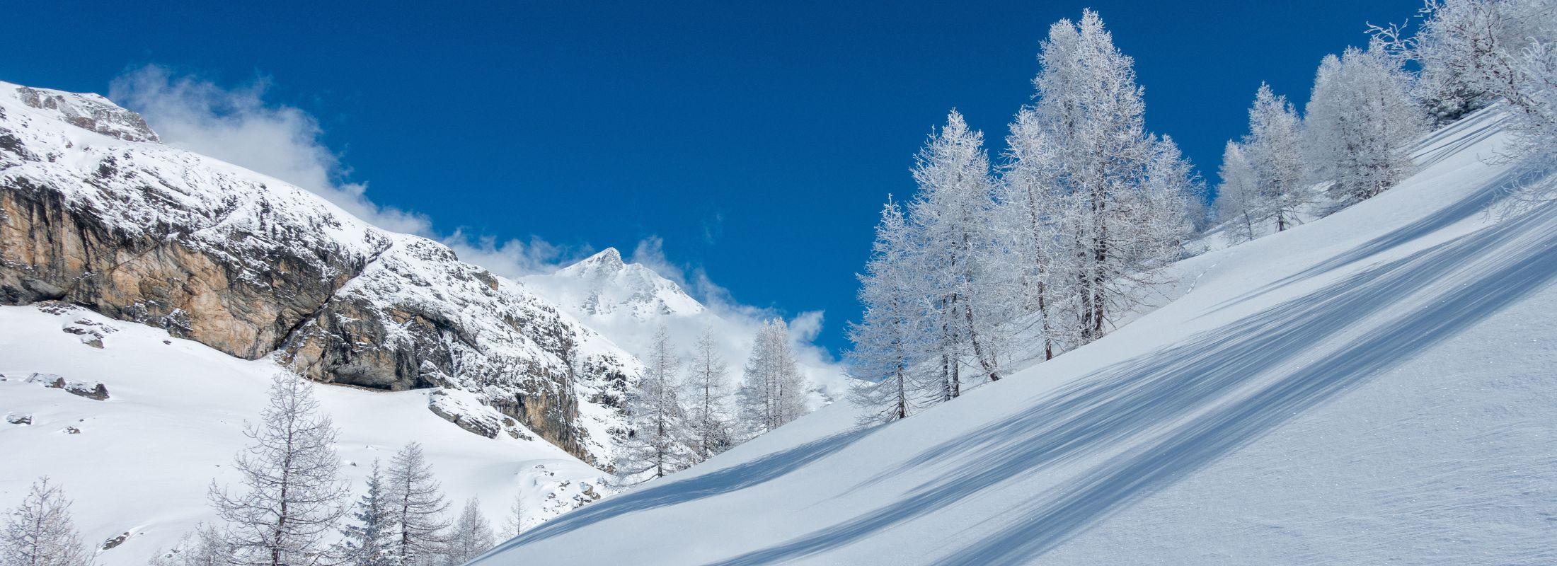 Paysage neige
