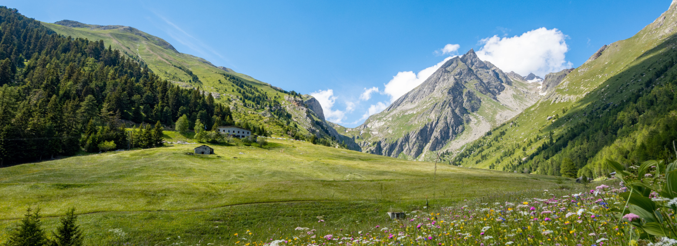 Vallon de l'Orgère