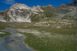 1pnv004592-pn-vanoise-gotti_christophe-900px.jpg