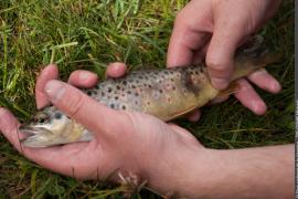 3pnv001892-pn-vanoise-delorme_michael-750px.jpg