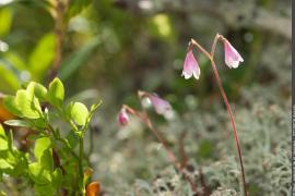 3pnv003169-pn-vanoise-storck_frantz-750.jpg