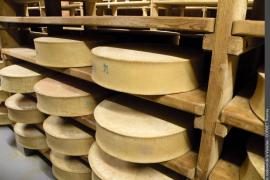 Meules de fromage beaufort