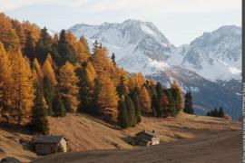 3pnv007749-pn-vanoise-deffrennes_benoit-900px.jpg