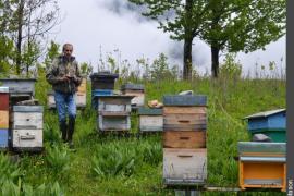 Rucher de Klébert SILVESTRE (apiculteur, membre du CETA) dans le Conservatoire de l'abeille noire. Les Priots, Vallée des Encombres, Les Belleville.