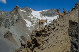 3pnv016002-pn-vanoise-gotti_christophe-750.jpg