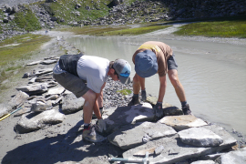 chantier_lac_des_vaches_pose_pierres.png