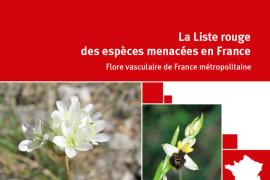 liste-rouge-flore-vasculaire.jpg