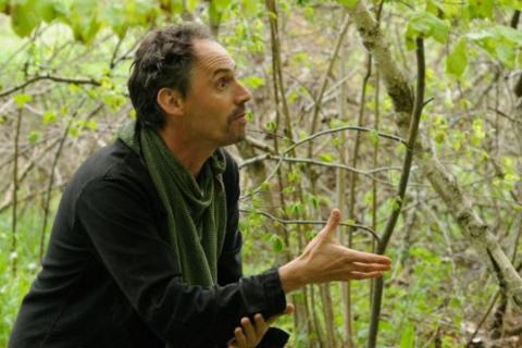 Pêcheur d'Oiseaux