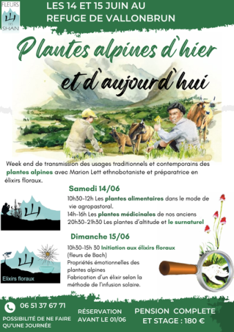 Plantes alpines d'hier et d'aujourd'hui à Val Cenis-Lanslevillard - Affiche du stage