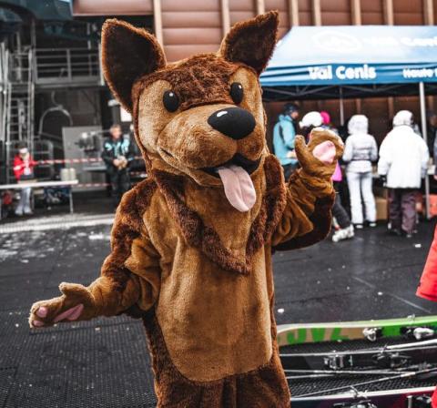 Rencontre avec la mascotte de Val Cenis - Flambeau le chien-mascotte