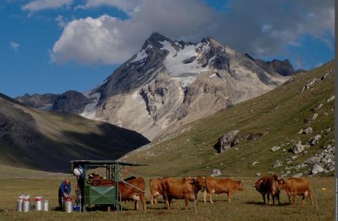 Exposition "Le Pastoralisme en Vanoise"_Aussois