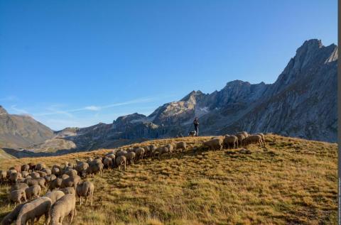 Rencontres pasto_Aussois - PNV
