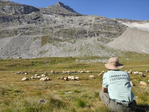 Rencontres pasto_Val-Cenis - PN Vanoise